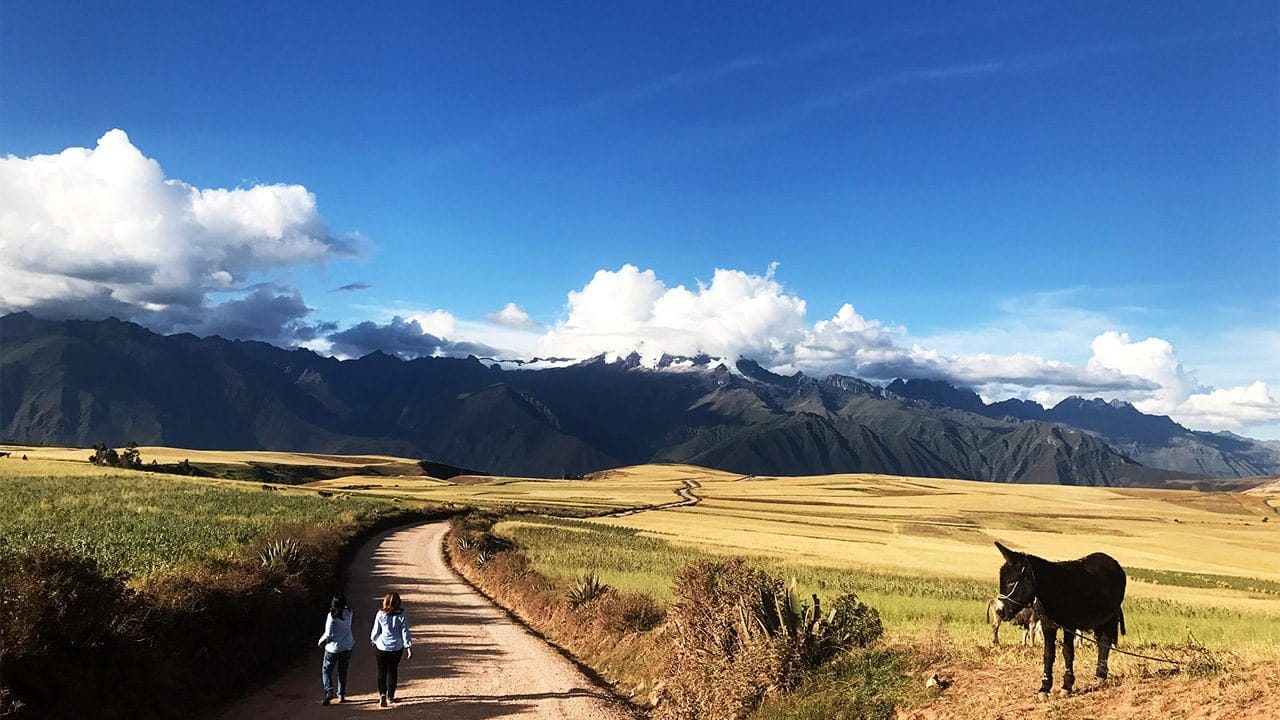cusco-private-transport-hilario-29