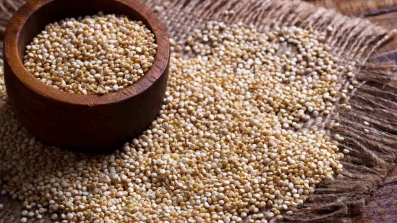 quinoa-cusco